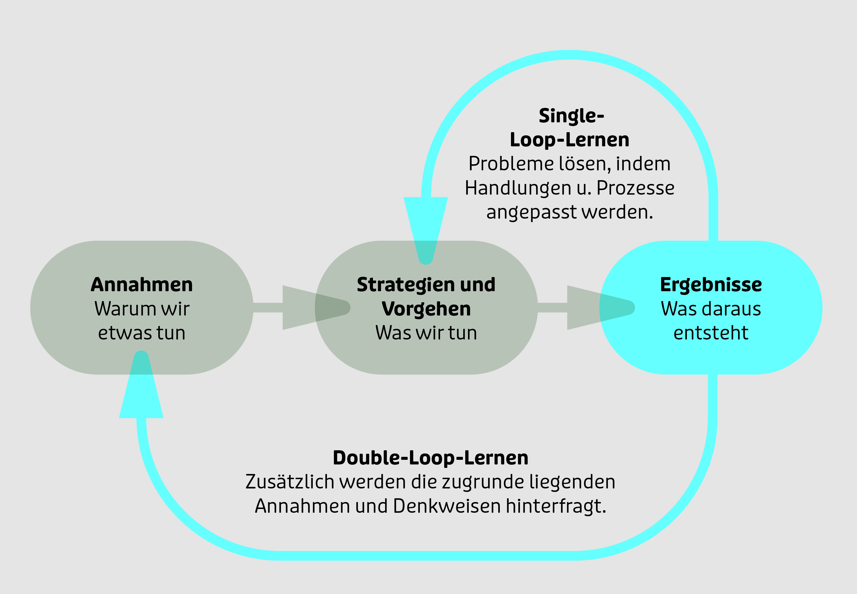 Single versus Double Loop Lernen nach Chris Argyris und Donald Schön, eigene Darstellung BWI